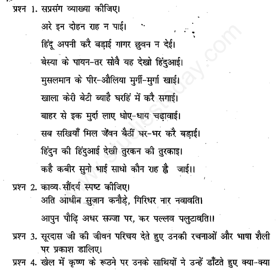 CBSE Class 11 Hindi Kabir Das Sur Das Assignment