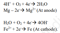 CBSE Class 12 Chemistry Electro Chemistry Assignment