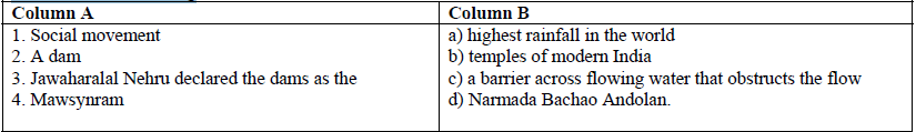 CBSE Class 12 Social Science Water Resources Assignment