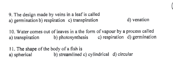 CBSE Class 6 Science Getting to Know Plants MCQs Set C-