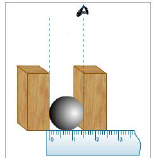 CBSE Class 6 Science Motion and Measurement of Distances MCQs Set A