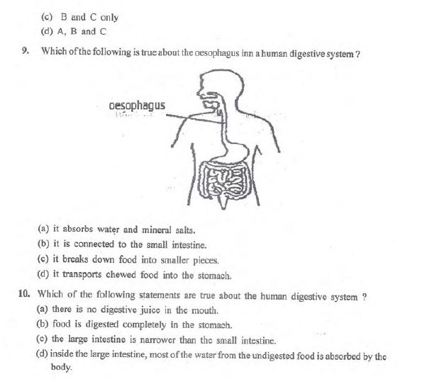 CBSE Class 7 Science All Chapters MCQs Set E-