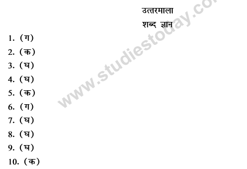 CBSE Class 9 Hindi Conventions MCQs-28