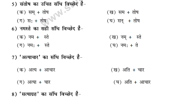 CBSE Class 9 Hindi Conventions MCQs-30