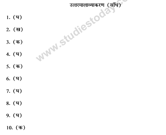 CBSE Class 9 Hindi Conventions MCQs-32