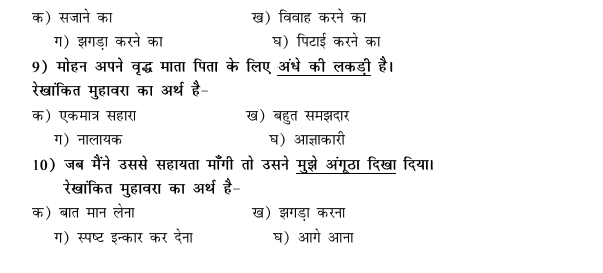 CBSE Class 9 Hindi Conventions MCQs-40