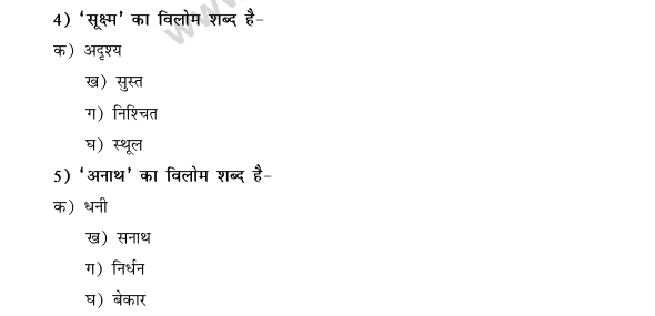 CBSE Class 9 Hindi Conventions MCQs-42