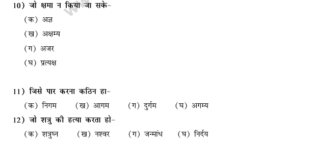 CBSE Class 9 Hindi Conventions MCQs-49