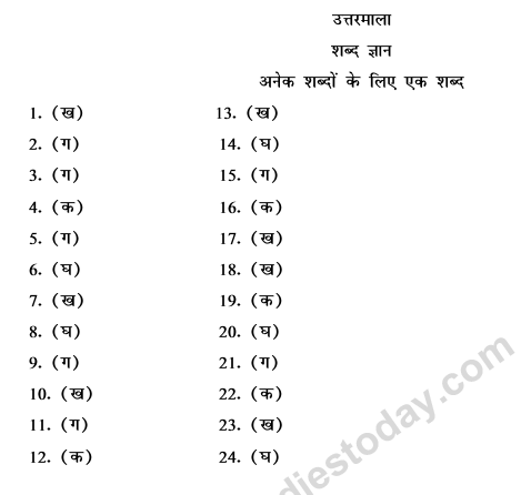 CBSE Class 9 Hindi Conventions MCQs-An