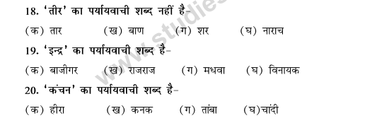 CBSE Class 9 Hindi Conventions MCQs-Paryayvachi Shabd-4