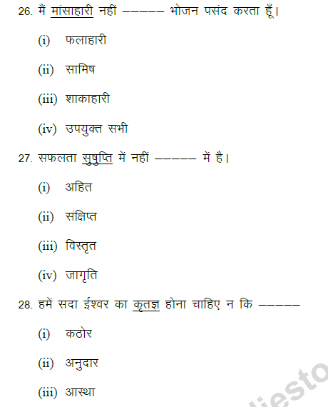 CBSE Class 9 Hindi Grammar and Usages Based MCQ (1)-5