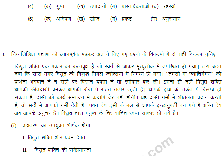 CBSE Class 9 Hindi Passage Based MCQ (1)-3