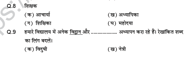 CBSE Class 9 PSA Hindi Contextual Vocabulary MCQs-
