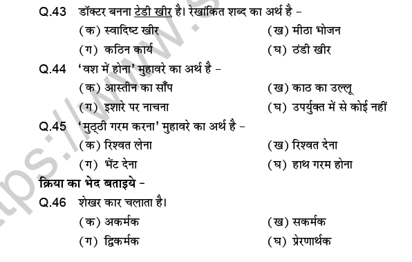 CBSE Class 9 PSA Hindi Contextual Vocabulary MCQs-8