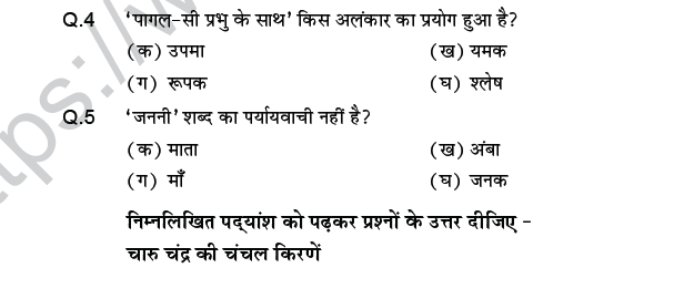 CBSE Class 9 PSA Hindi Passage Based MCQs-