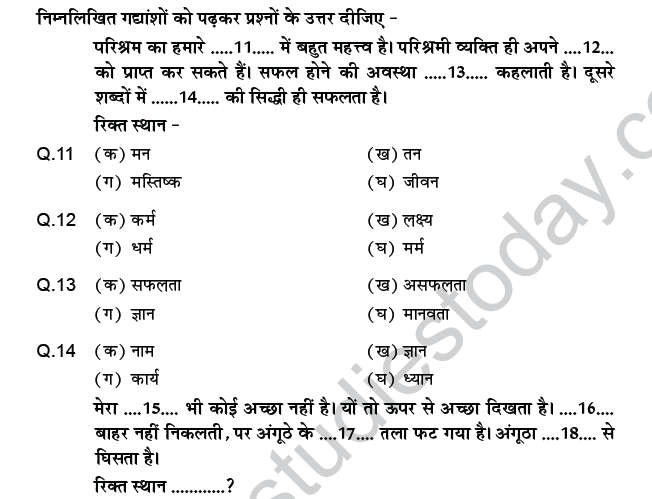 CBSE Class 9 PSA Hindi Passage Based MCQs-3