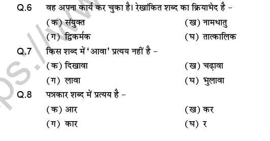 CBSE Class 9 PSA Hindi language MCQs-