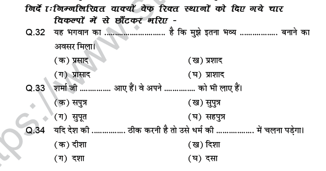 CBSE Class 9 PSA Hindi language MCQs-6