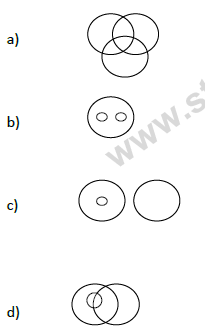 CBSE Class 9 PSA Qualitative Reasoning (1)-13