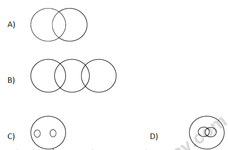 CBSE Class 9 PSA Qualitative Reasoning (1)-17