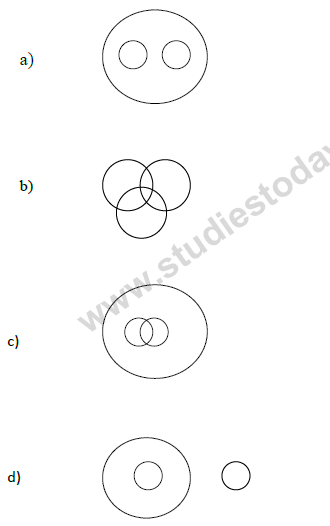 CBSE Class 9 PSA Qualitative Reasoning (1)-9