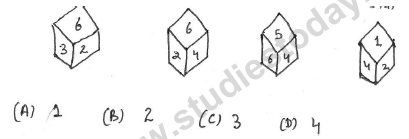 CBSE Class 9 PSA Qualitative Reasoning (1)-Dice-