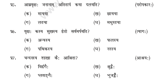 CBSE Class 9 Sanskrit MCQs Question Bank-18