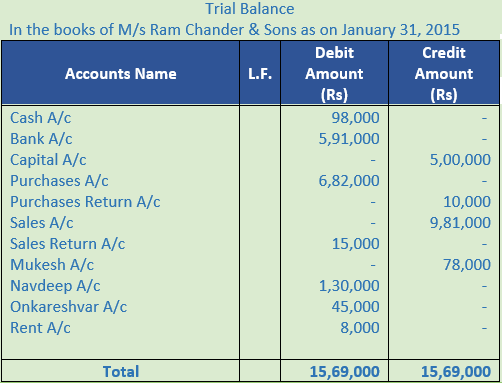 DK Goel Solutions Class 11 Accountancy Trial Balance and Errors-10