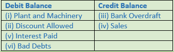 DK Goel Solutions Class 11 Accountancy Trial Balance and Errors-2