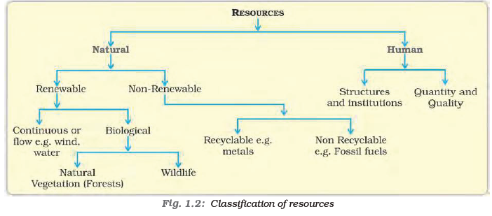 NCERT Class 10 Economics Contemporary India Resources and Development-