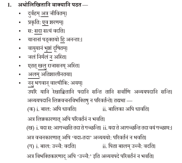 NCERT Class 10 Sanskrit Abhyaswaan Bhav Avyayani
