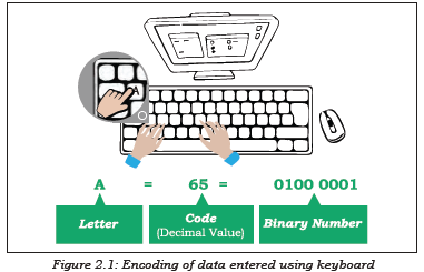 NCERT Class 11 Computer Science Encoding Schemes and Number System