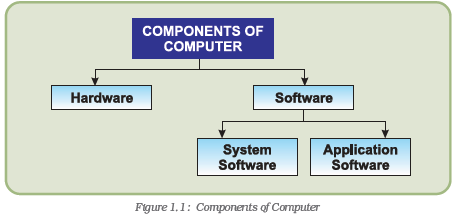 NCERT Class 12 Accountancy Computerised Accounting System Overview