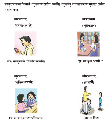 NCERT Class 9 Sanskrit Abhyaswaan Bhav Dhaturupani
