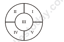 images12/CBSE%20Class%209%20Mathematics%20Circles%20VBQs%201.PNG