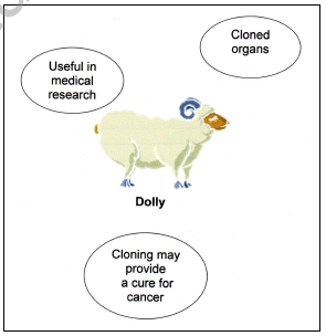 CBSE_ Class_10 English_Science_7