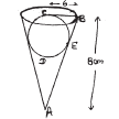 CBSE_ Class_10_Mathematics_Surface_Area_Related_to_Circle_14