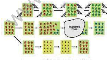 CBSE_Class_10_Biology_Heredity_1