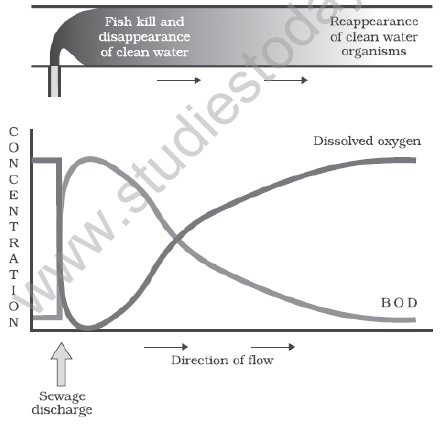 CBSE_Class_12_Biology_Environmental_Issue_Set_C_1