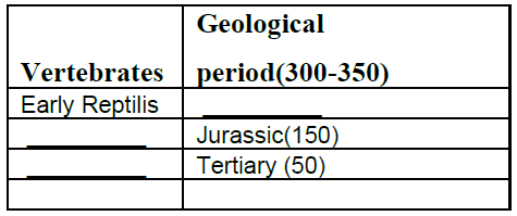 CBSE_Class_12_Biology_Evolution_2