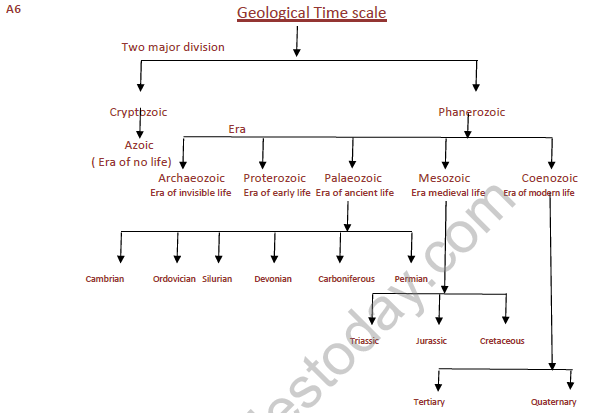 CBSE_Class_12_Biology_Evolution_Set_B_4