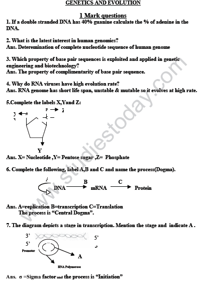 CBSE_Class_12_Biology_Genetic_And_Evolution_1