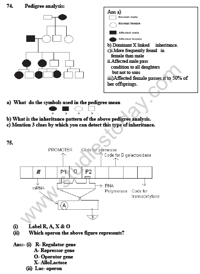 CBSE_Class_12_Biology_Genetic_And_Evolution_10