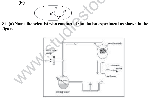 CBSE_Class_12_Biology_Genetic_And_Evolution_15