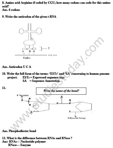 CBSE_Class_12_Biology_Genetic_And_Evolution_2