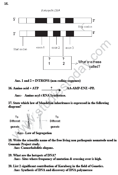 CBSE_Class_12_Biology_Genetic_And_Evolution_3