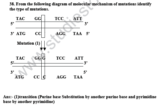 CBSE_Class_12_Biology_Genetic_And_Evolution_4