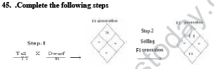 CBSE_Class_12_Biology_Genetic_And_Evolution_6