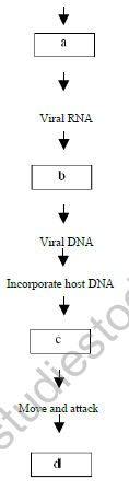 CBSE_Class_12_Biology_Human_Health_&__3