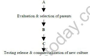 CBSE_Class_12_Biology_In_Food_2